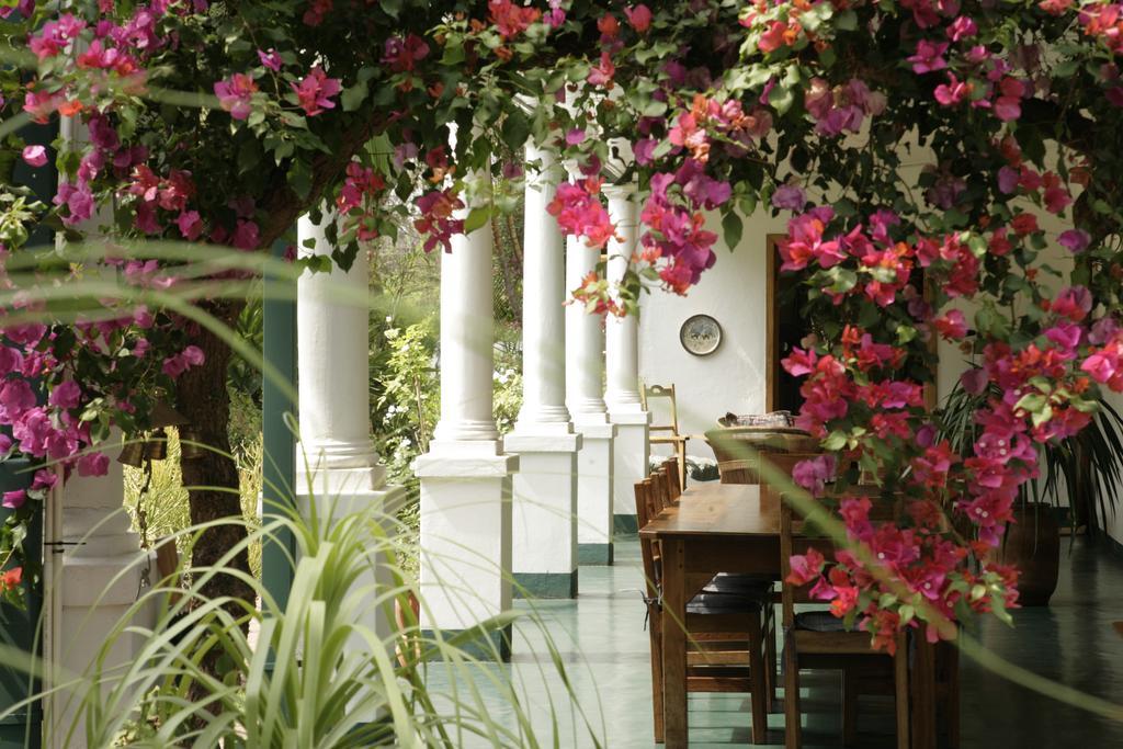 York Lodge Harare Zewnętrze zdjęcie